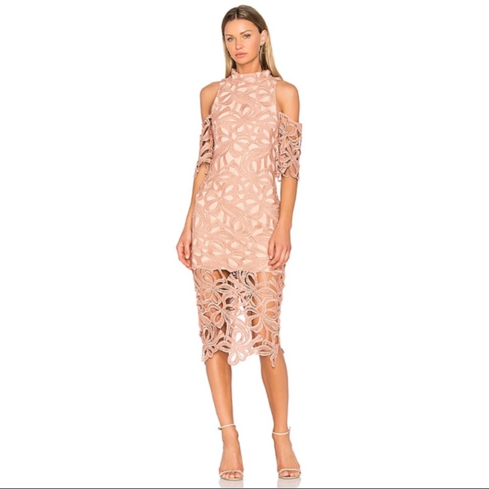 Elliatt Pink Chalk Lace & Mesh Sight Dress Size XS